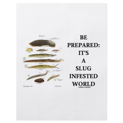 Be Prepared: It's A Slug Infested World Full Color Flyer by wordsunwords