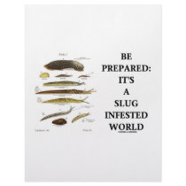 Be Prepared: It's A Slug Infested World Letterhead Design