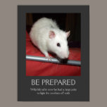 Be prepared poster posters