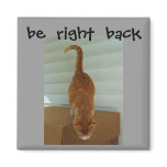 be  right  back magnet, stray1