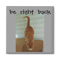be  right  back magnet, stray1 magnets