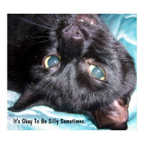 Be Silly Poster posters