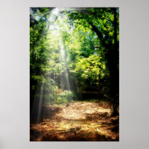 Be Still (Forest Landscape Poster)