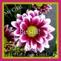 Be still! magnet