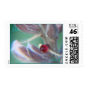 Be Still postage