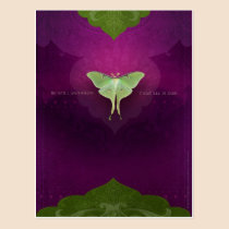 Be Still (Postcard) postcards