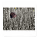 be still posters by concretecandy be still posters