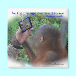 Be the Change : Face in the Mirror magnets