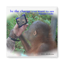 Be the Change : Face in the Mirror magnets by Rebecca_Reeder Be the Change : Face in the Mirror magnets