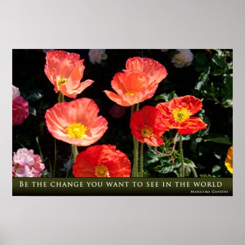 Be the Change You Want to See in the World: Gandhi print