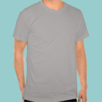 Be the Falcon t-shirts by Thylacine Be the Falcon t-shirts