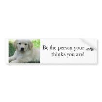 Be the person your dog thinks you are bumper stickers by mweaverwest Be the person your dog thinks you are bumper stickers