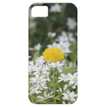 Be unique casemate cases