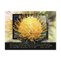 Be Ye Transformed postcards by dollargrafix Be Ye Transformed postcards