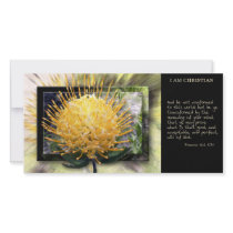 Be Ye Transformed Scripture Card Photo Cards