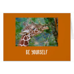 Be Yourself Collection Be Yourself Collection