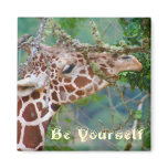 Be Yourself Collection Be Yourself Collection
