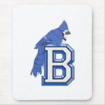 Bea Blue Jay Mousepads