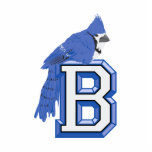 Bea Blue Jay Cut Outs