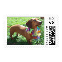 Bea stamp 2 by msmoore27 Bea stamp 2