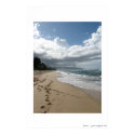 beach2 posters by emoticant beach2 posters