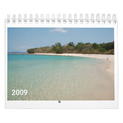 Beach, 2009 Calendar - Customized by dibsthecat