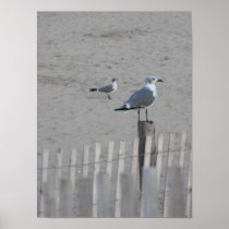 Beach ~ 25.5 posters