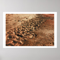 Beach Abstract Poster