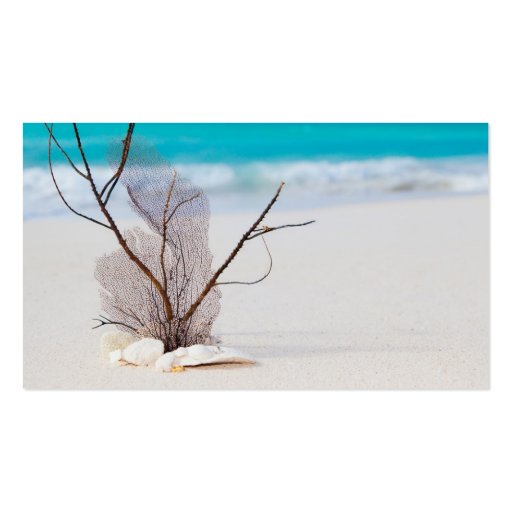 beach-and-sea-concept beach beauty blue caribbean business card templates (back side)