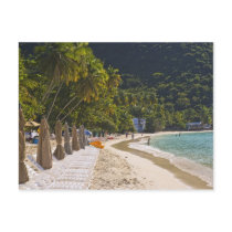 Beach at Cane Garden Bay, Island of Tortola Postcard