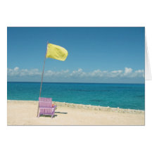 Beach at Chankanaab Parque Cards