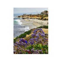 Beach At La Jolla Cove photo sculptures