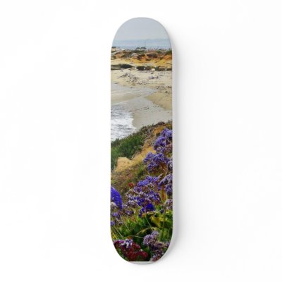 Beach At La Jolla Cove Skate Board Deck by lifesphere