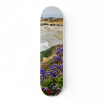 Beach At La Jolla Cove Skate Board Deck