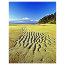 Beach At Low Tide, Abel Tasman National Park Custom Flyer