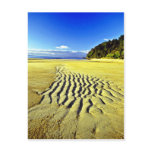 Beach At Low Tide, Abel Tasman National Park Post Cards