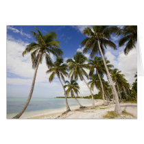 Beach at Punta Cana Cards