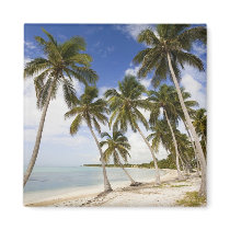 Beach at Punta Cana Magnets