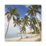 Beach at Punta Cana Magnets