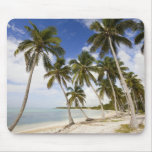 Beach at Punta Cana Mousepads