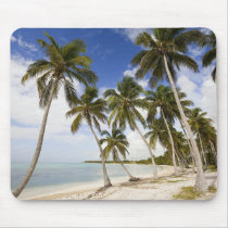 Beach at Punta Cana Mousepads