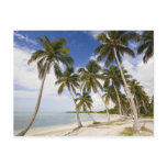 Beach at Punta Cana Post Card