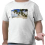 Beach at Punta Cana Tees