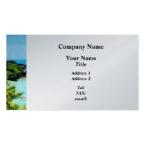 Beach at St. George Bermuda - Platinum business cards