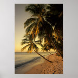 Beach at sunset, Trinidad