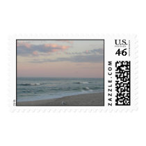 Beach at Sunset with gull postage