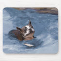 Beach Babe mousepads