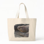 Beach Bag with Northern Elephant Seal