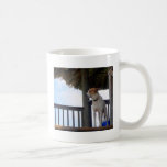 Beach Bar Dog in Belize Coffee Mugs