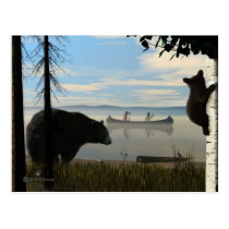 Beach Bears postcards